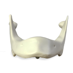 MANDÍBULA EDÊNTULA  - cód. 4010 T