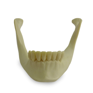 MANDÍBULA RGT - cód. 9971IT